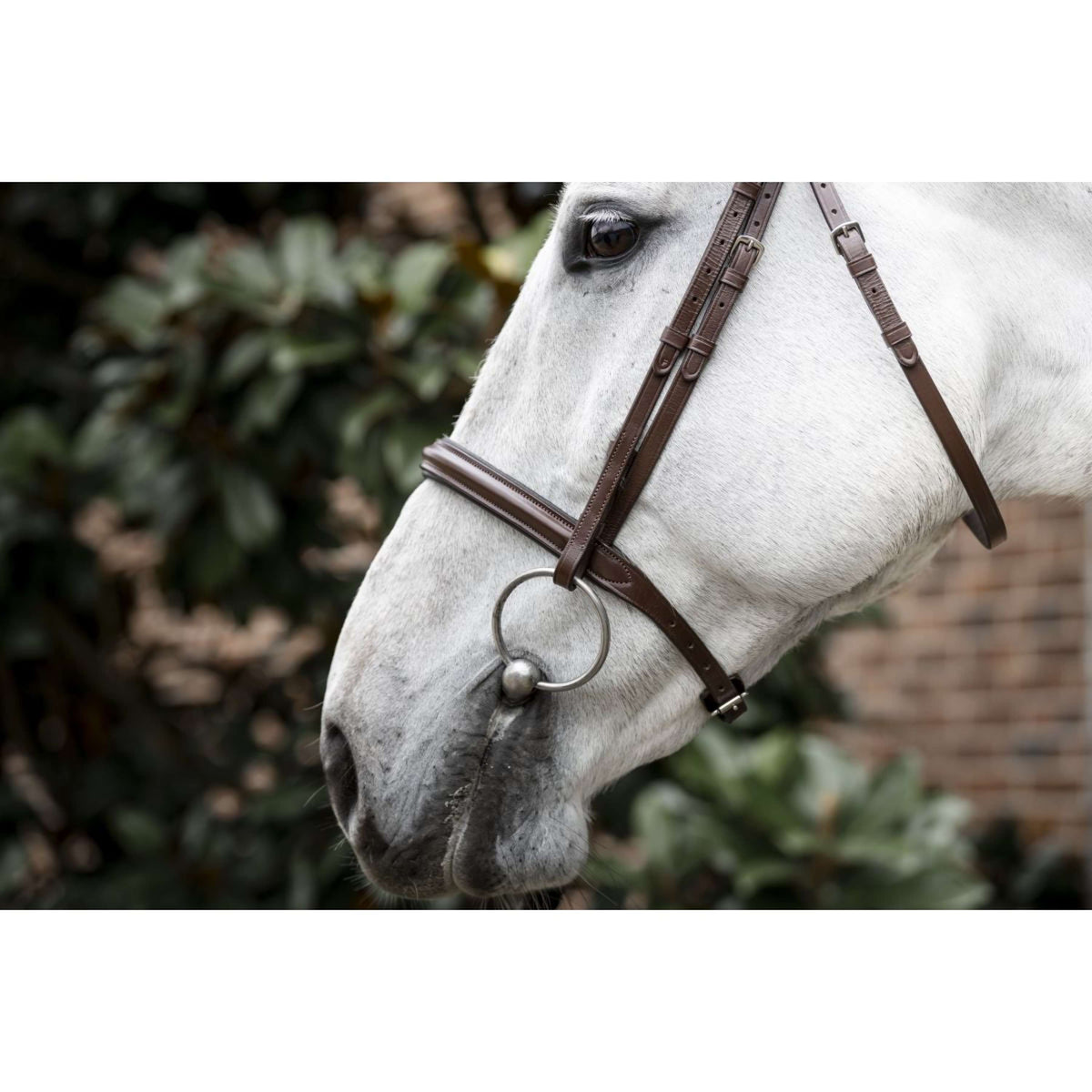 Horseware Zaum Cavesson Braun