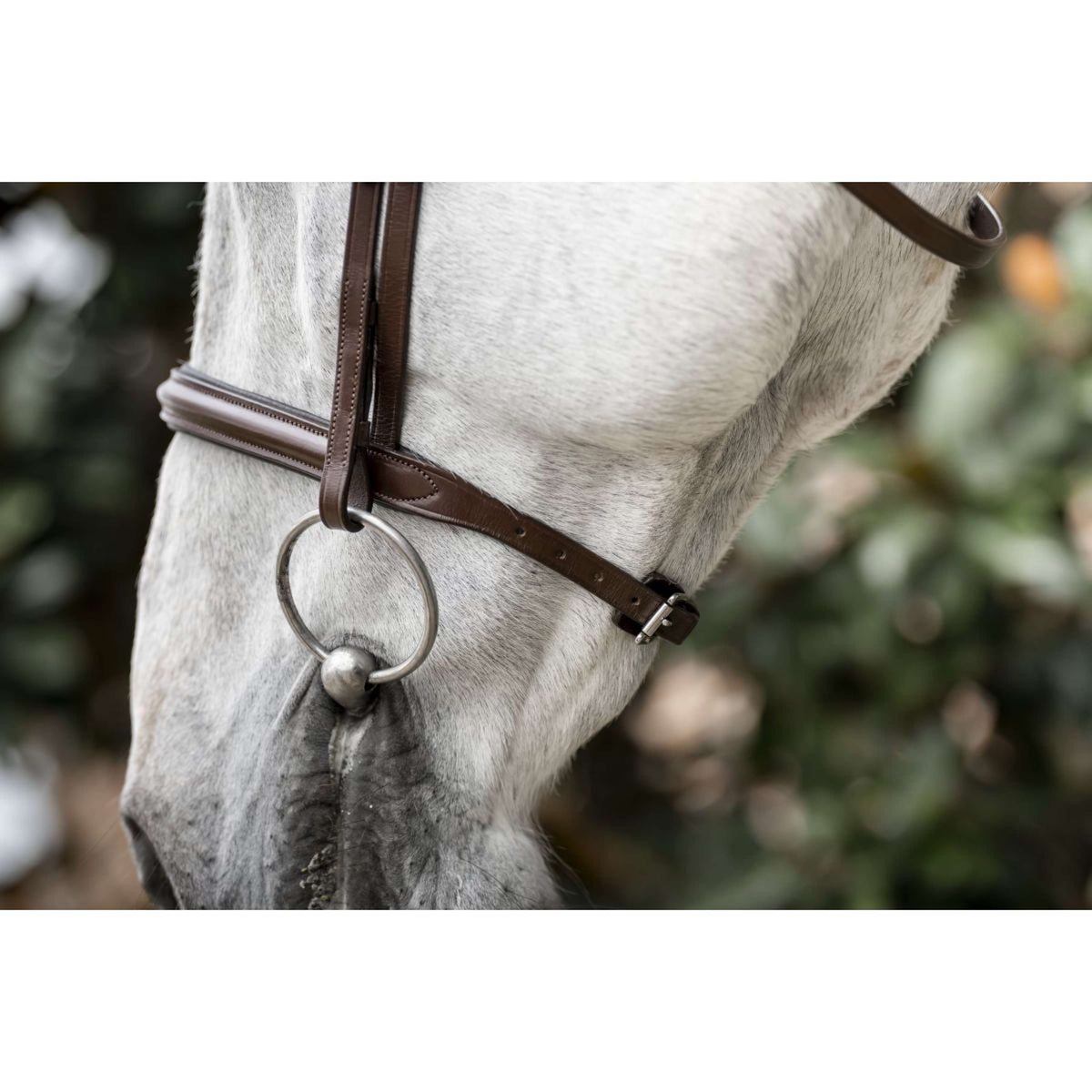 Horseware Zaum Cavesson Braun