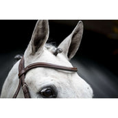 Horseware Zaum Cavesson Braun