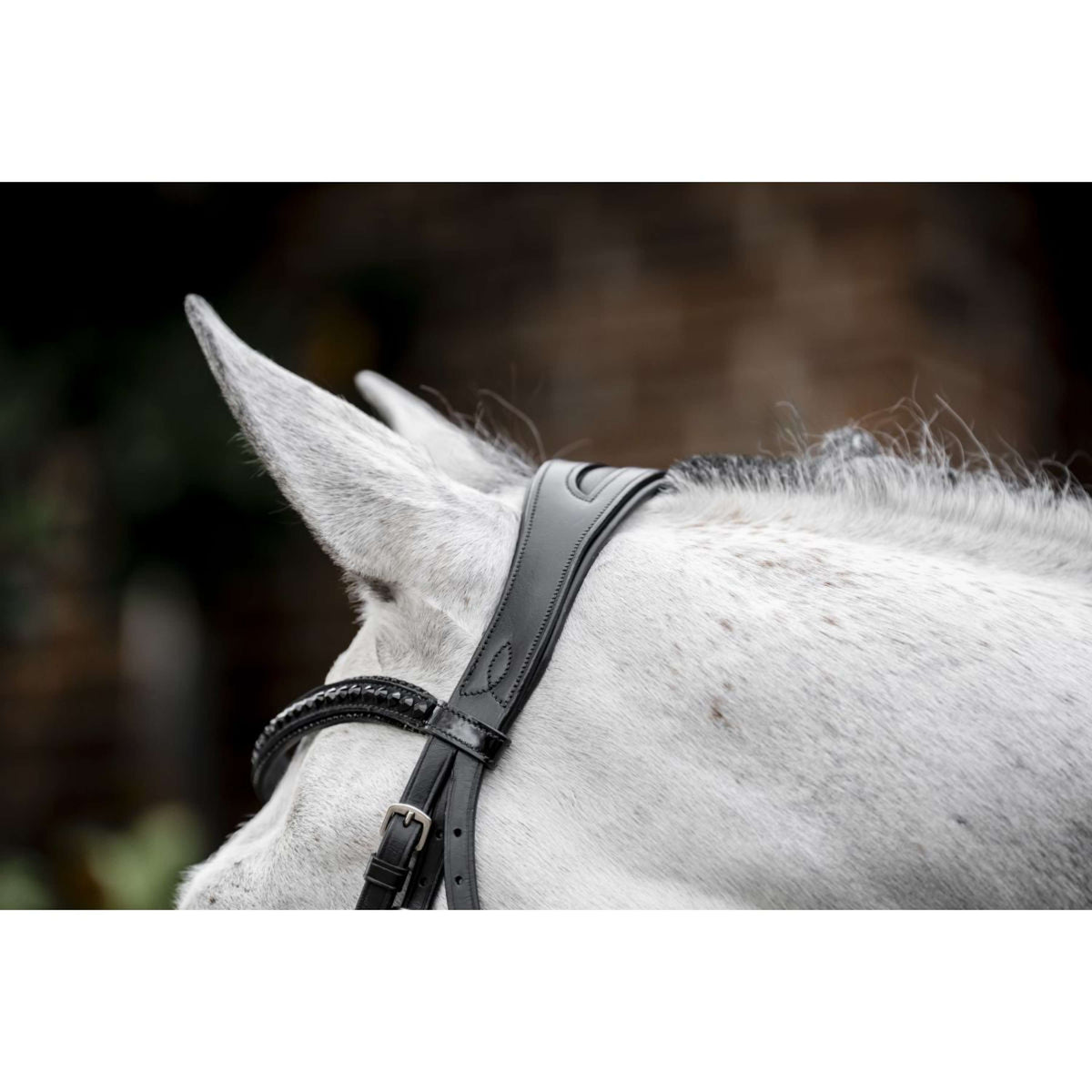 Horseware Zaum Diamante Schwarz