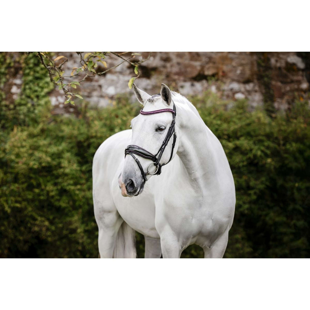 Horseware Zaum Diamante Schwarz/Rosa