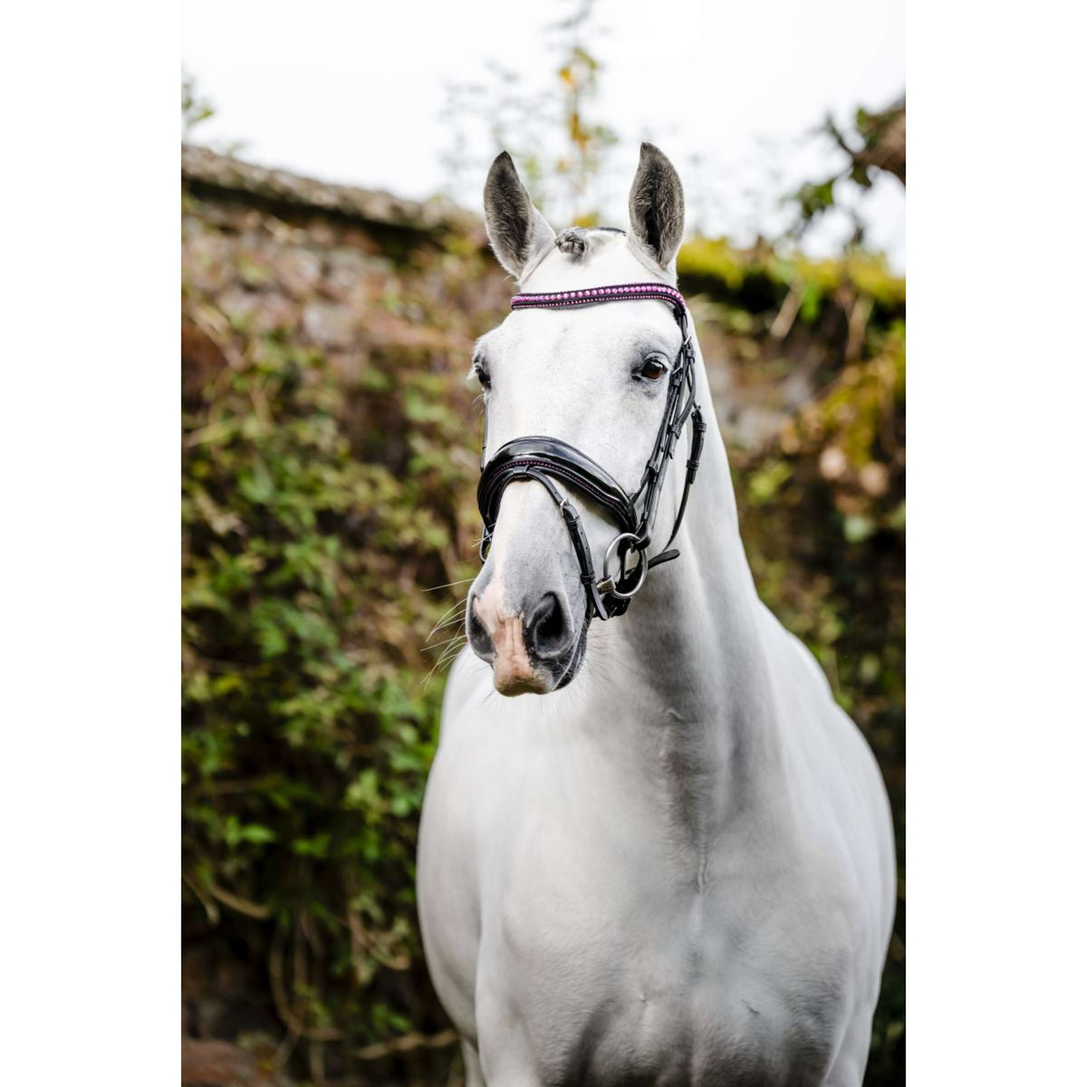 Horseware Zaum Diamante Schwarz/Rosa