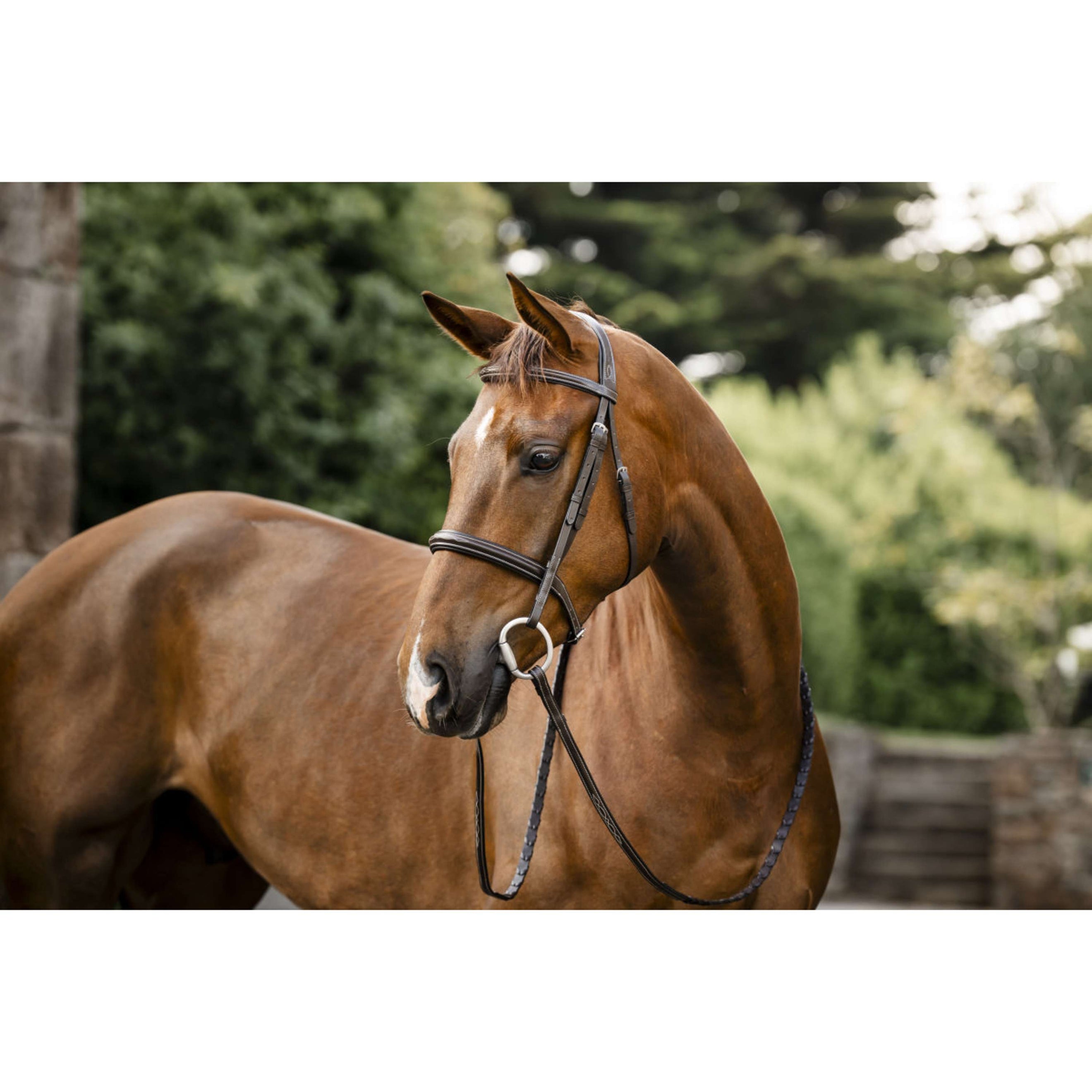 Horseware Zaum Hunter Havana Brown Horseware Zaum Hunter Havana Brown