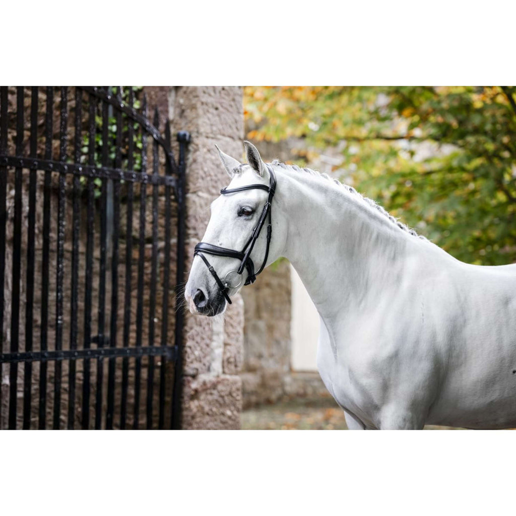 Horseware Zaum Pony Flash Schwarz