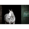 Horseware Micklem Bitless Bridle Schwarz