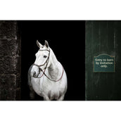 Rambo Micklem Bitless Bridle Braun