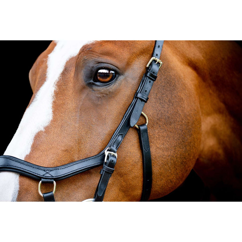 Horseware Micklem Competition Bridle New Schwarz