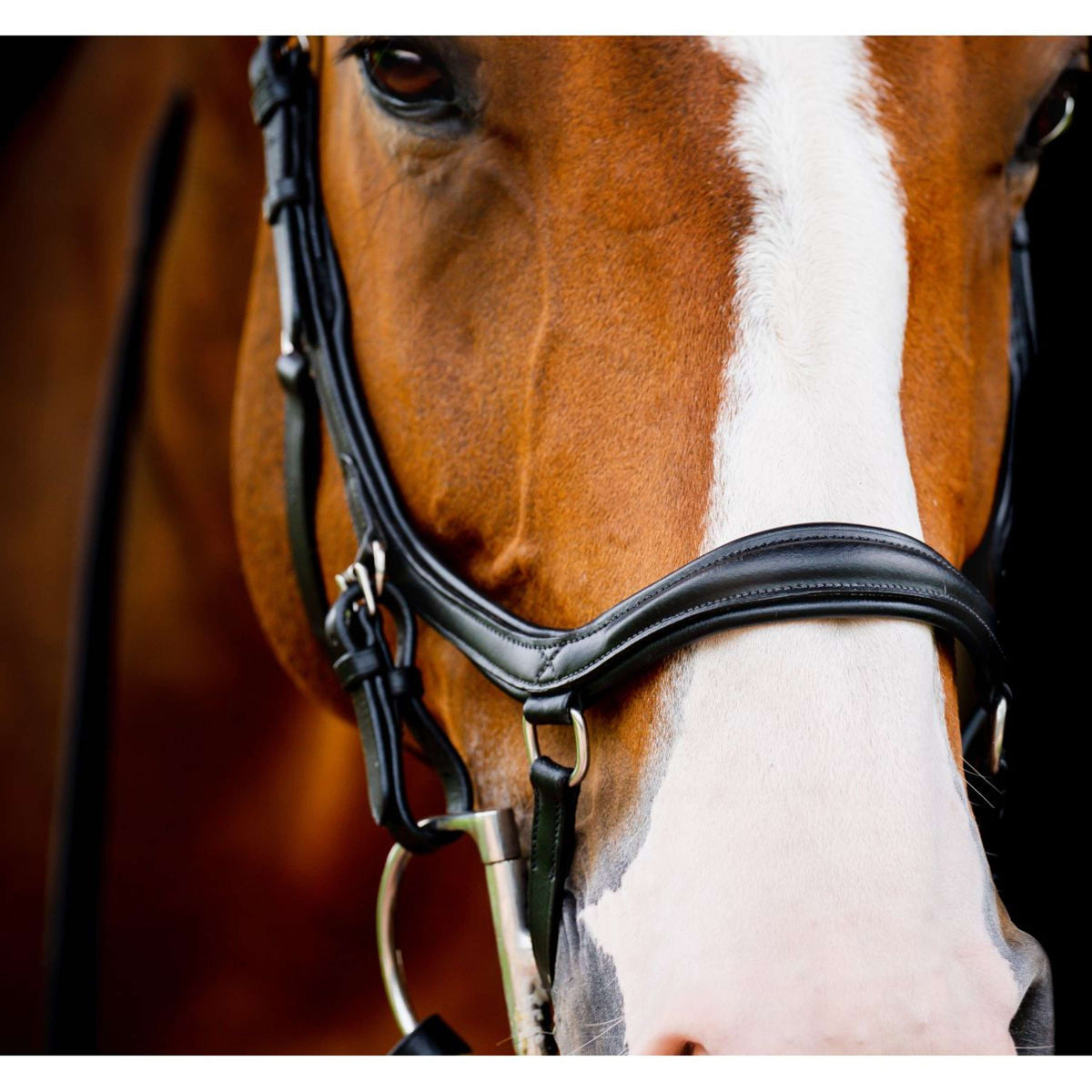 Rambo Micklem Diamond Competition Bridle New Schwarz