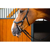 Rambo Micklem Deluxe Competition Bridle New Schwarz