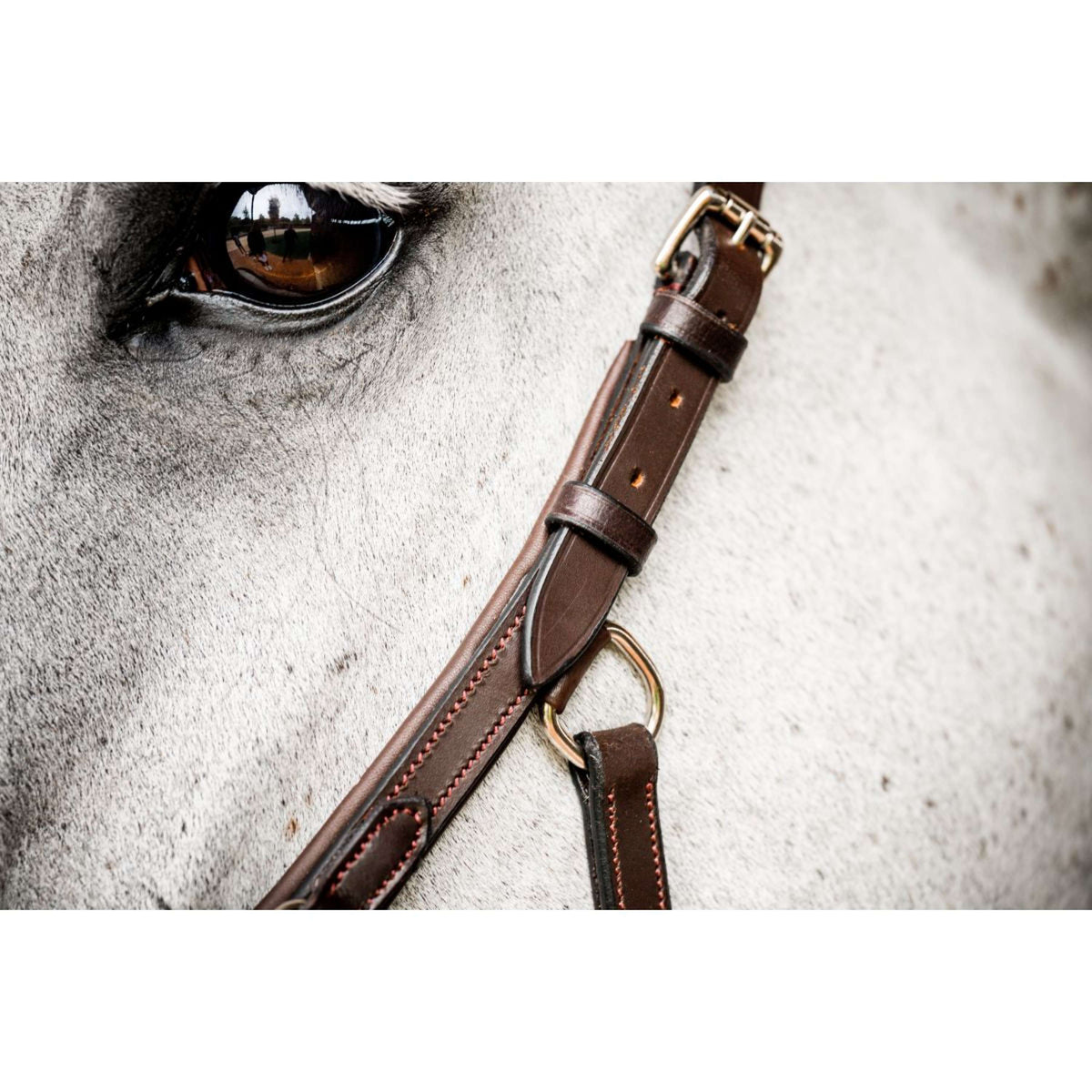 Rambo Micklem Deluxe Competition Bridle New Dark Havana