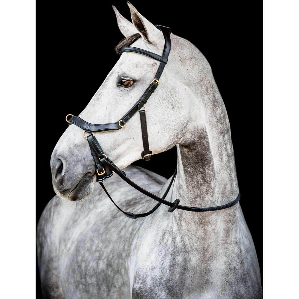 Horseware Rambo Micklem Competition Zügel | FUNDIS Reitsport Horseware Rambo Micklem Competition Zügel | FUNDIS Reitsport
