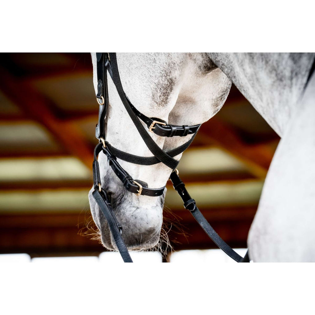 Horseware Micklem Multi Bridle New Schwarz