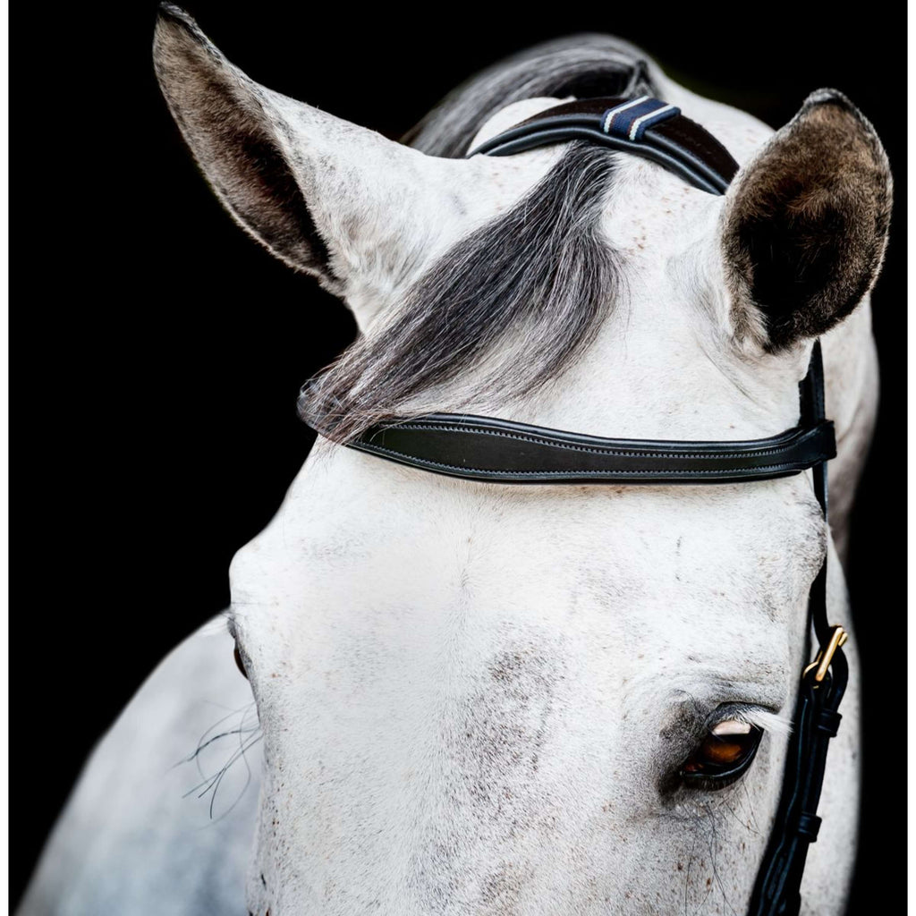 Horseware Micklem Multi Bridle New Schwarz