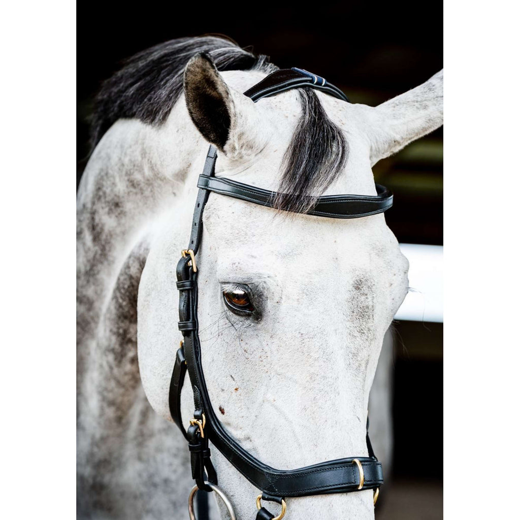 Horseware Micklem Multi Bridle New Schwarz