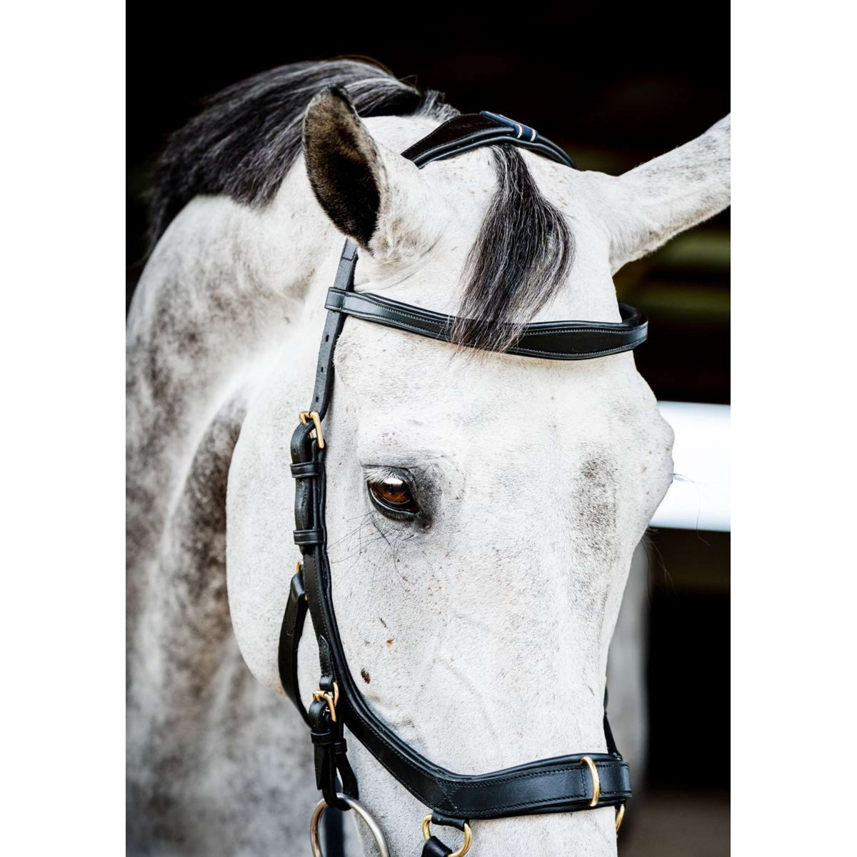 Rambo Micklem Multi Bridle New Schwarz