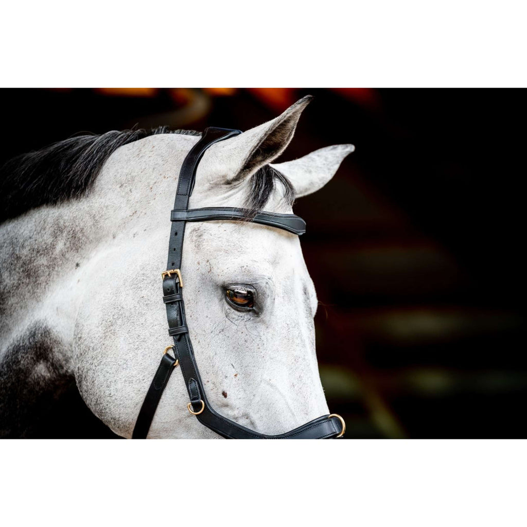 Horseware Micklem Multi Bridle New Schwarz