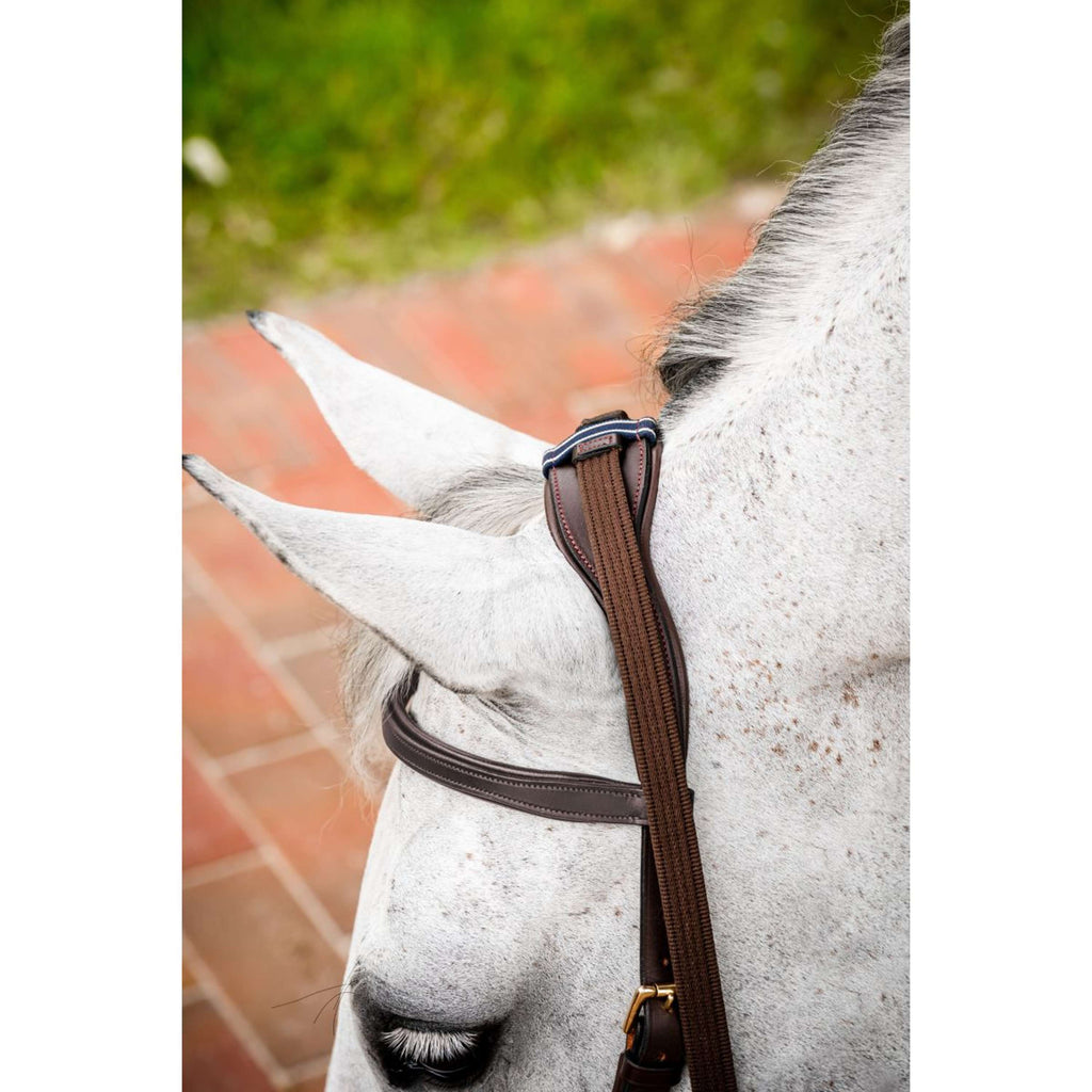 Horseware Micklem Multi Bridle New Dark Havana