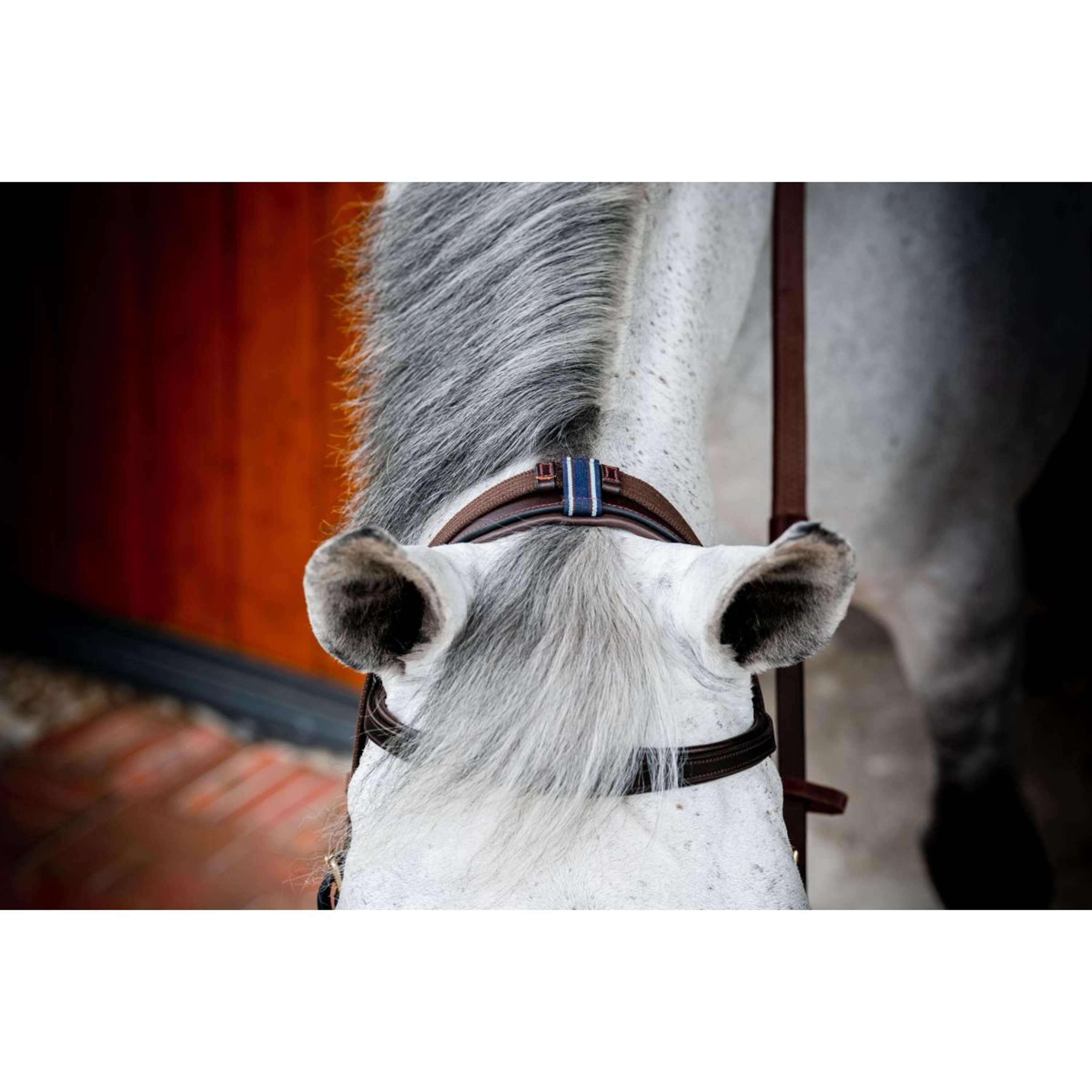 Horseware Micklem Multi Bridle New Dark Havana