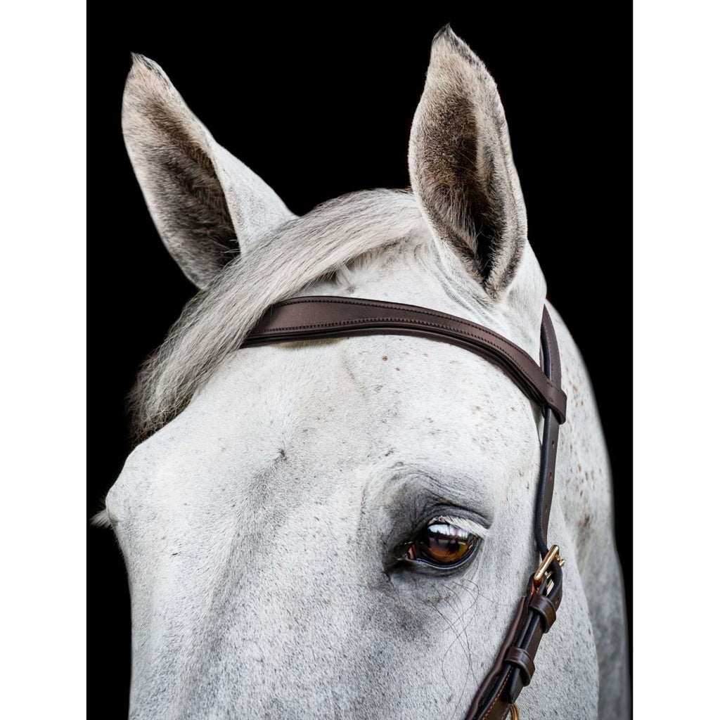 Horseware Micklem Multi Bridle New Dark Havana