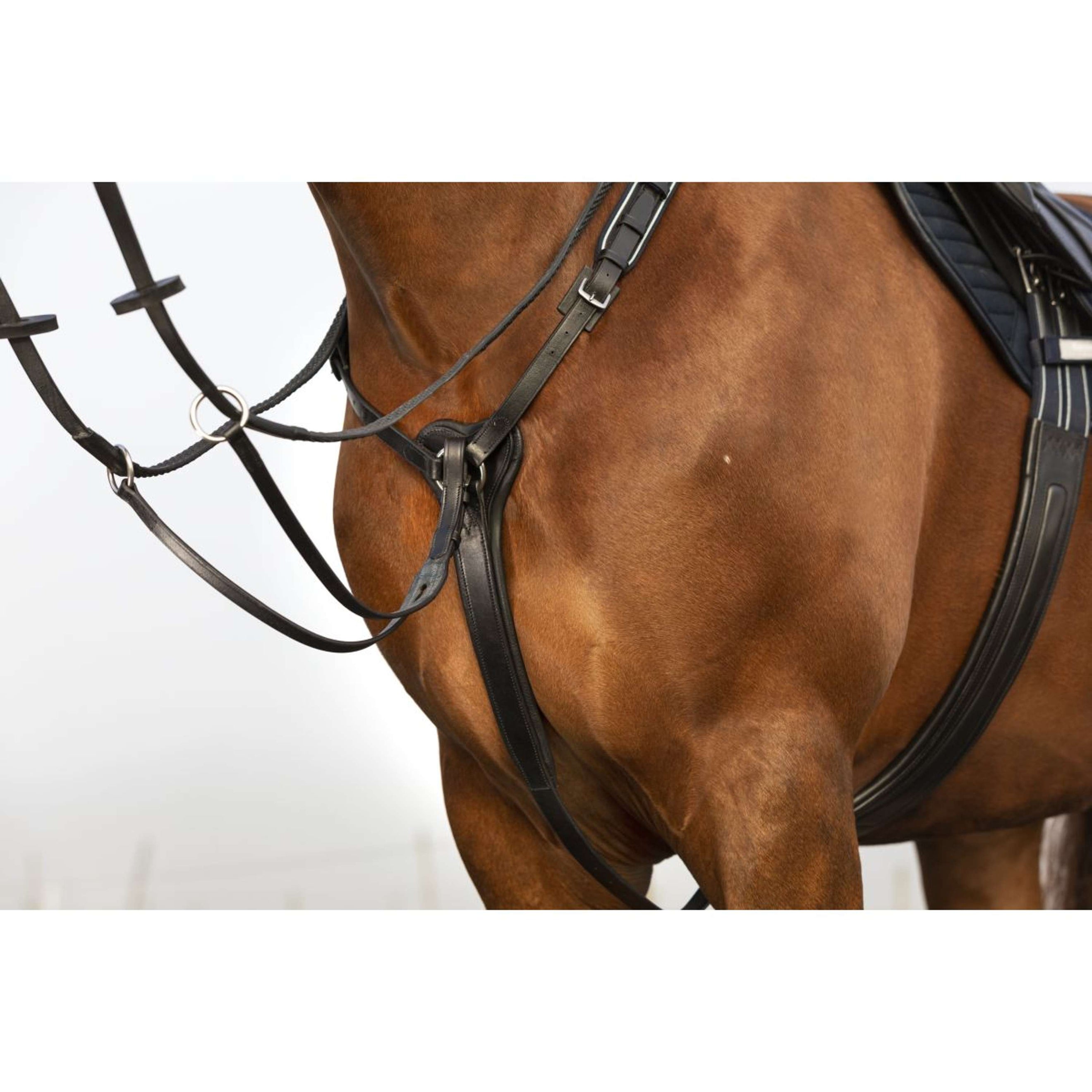 Rambo Micklem Brustgeschirr mit Martingal Schwarz