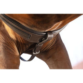 Horseware Micklem Brustgeschirr mit Martingal Braun