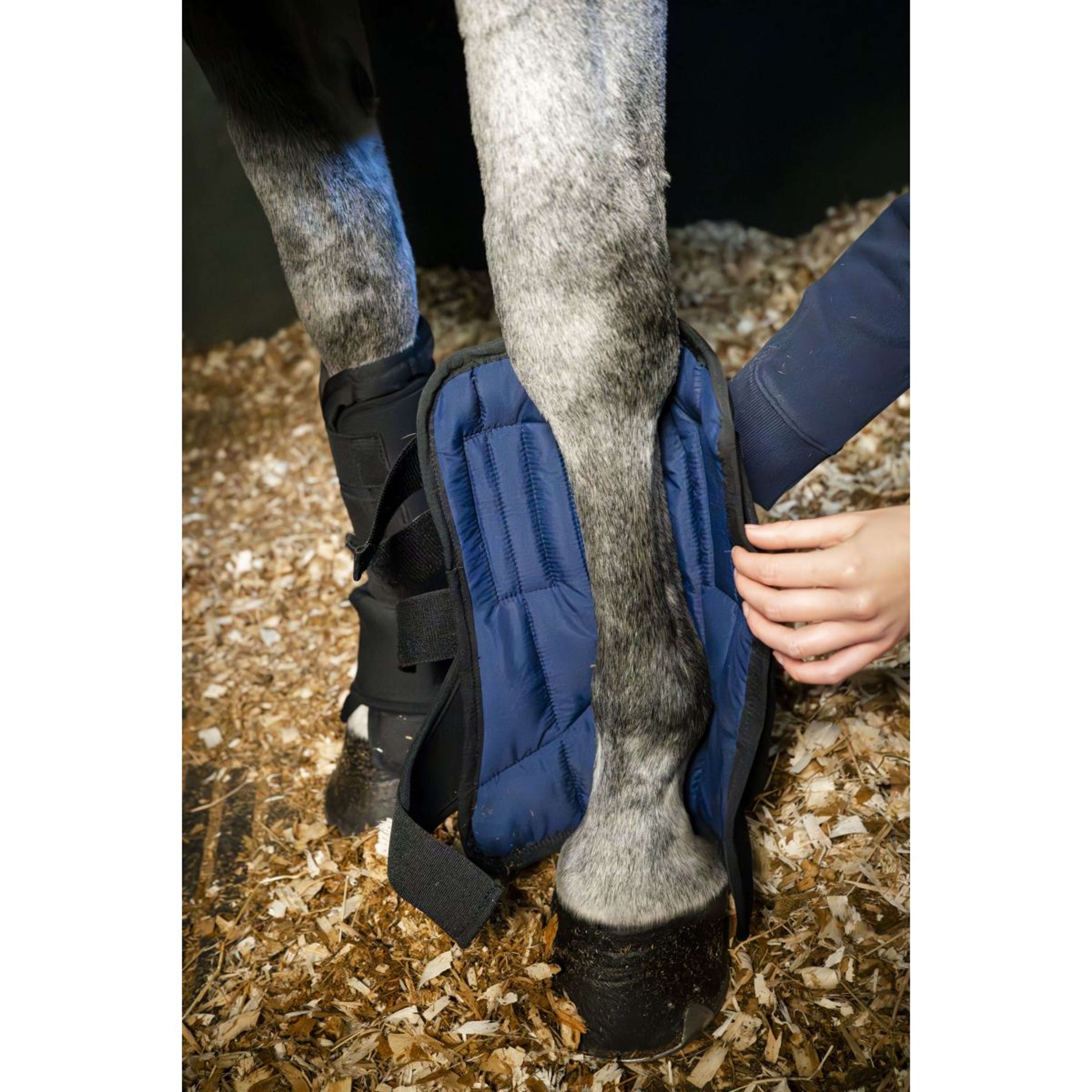 Horseware Liner Stable Boot Ionic Schwarz | Agradi.de