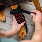 Horseware Pet Leg Wraps LED Red Light Therapy Pair Schwarz/Schwarz