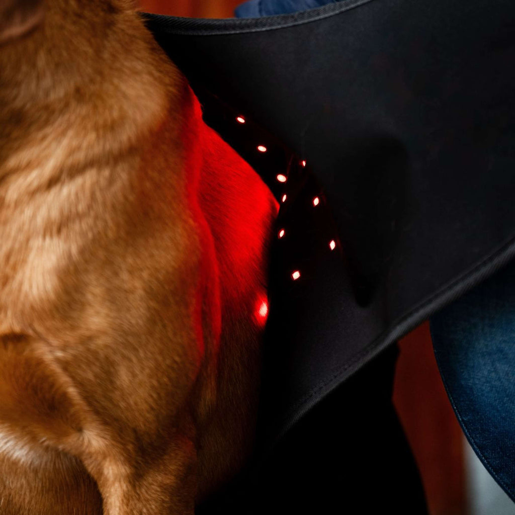 Horseware Pet Leg Wraps LED Red Light Therapy Pair Schwarz/Schwarz