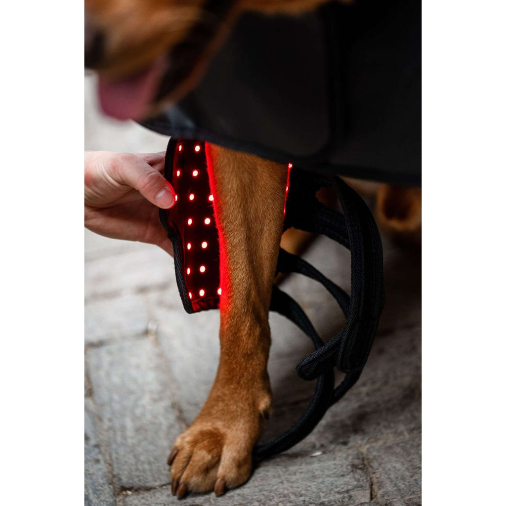 Horseware Pet Leg Wraps LED Red Light Therapy Pair Schwarz/Schwarz