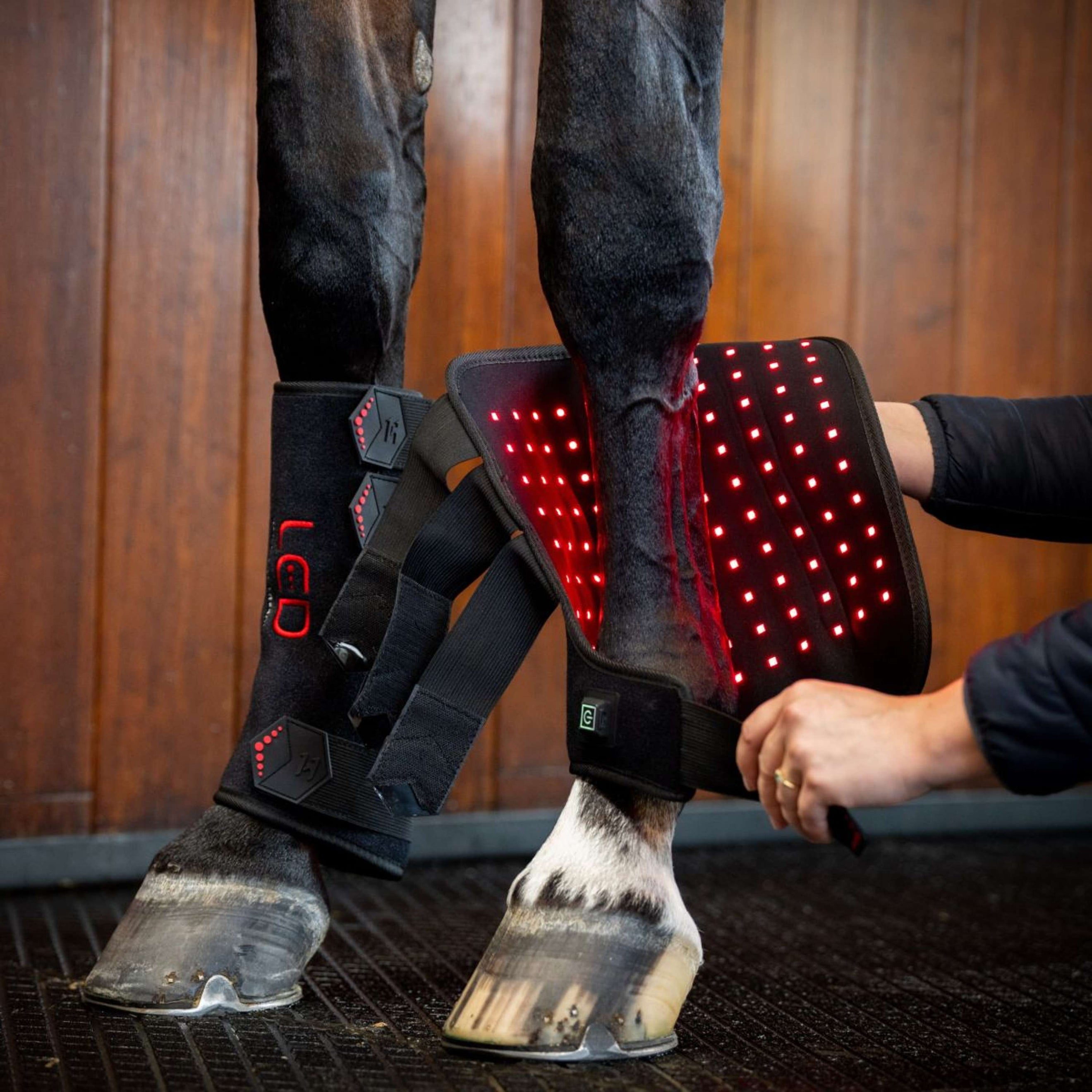 Horseware Leg Wraps LED Red Light Therapy Pair Schwarz/Schwarz Horseware Leg Wraps LED Red Light Therapy Pair Schwarz/Schwarz