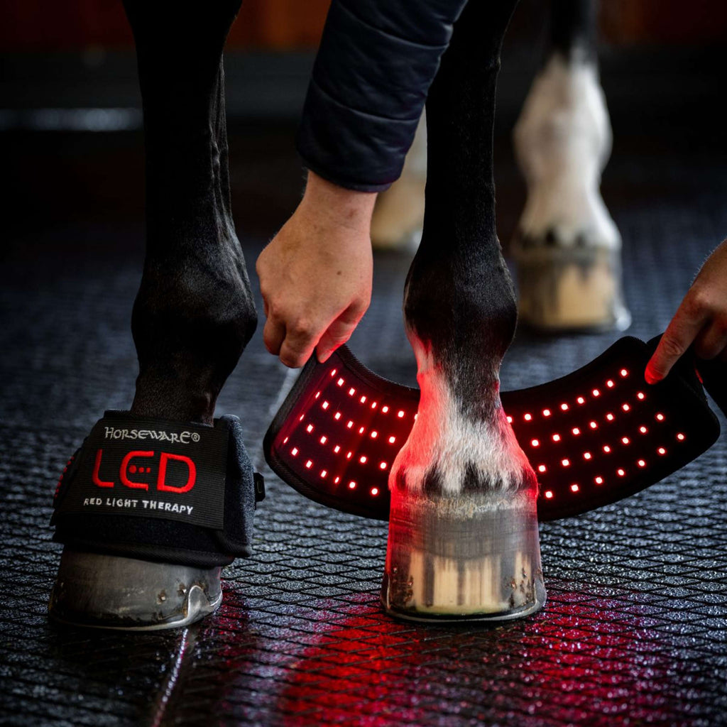 Horseware Mini Wraps LED Red Light Therapy Quad Schwarz/Schwarz