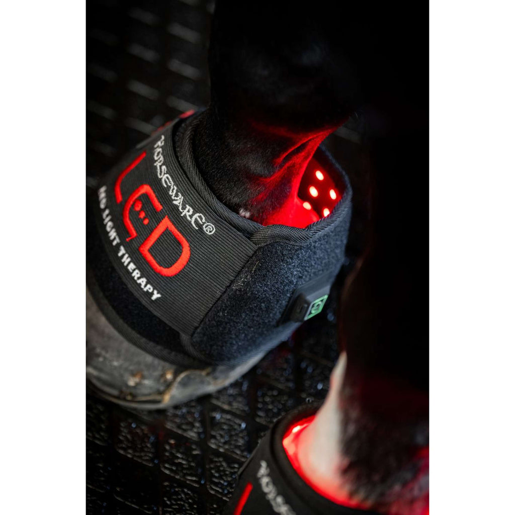 Horseware Mini Wraps LED Red Light Therapy Quad Schwarz/Schwarz