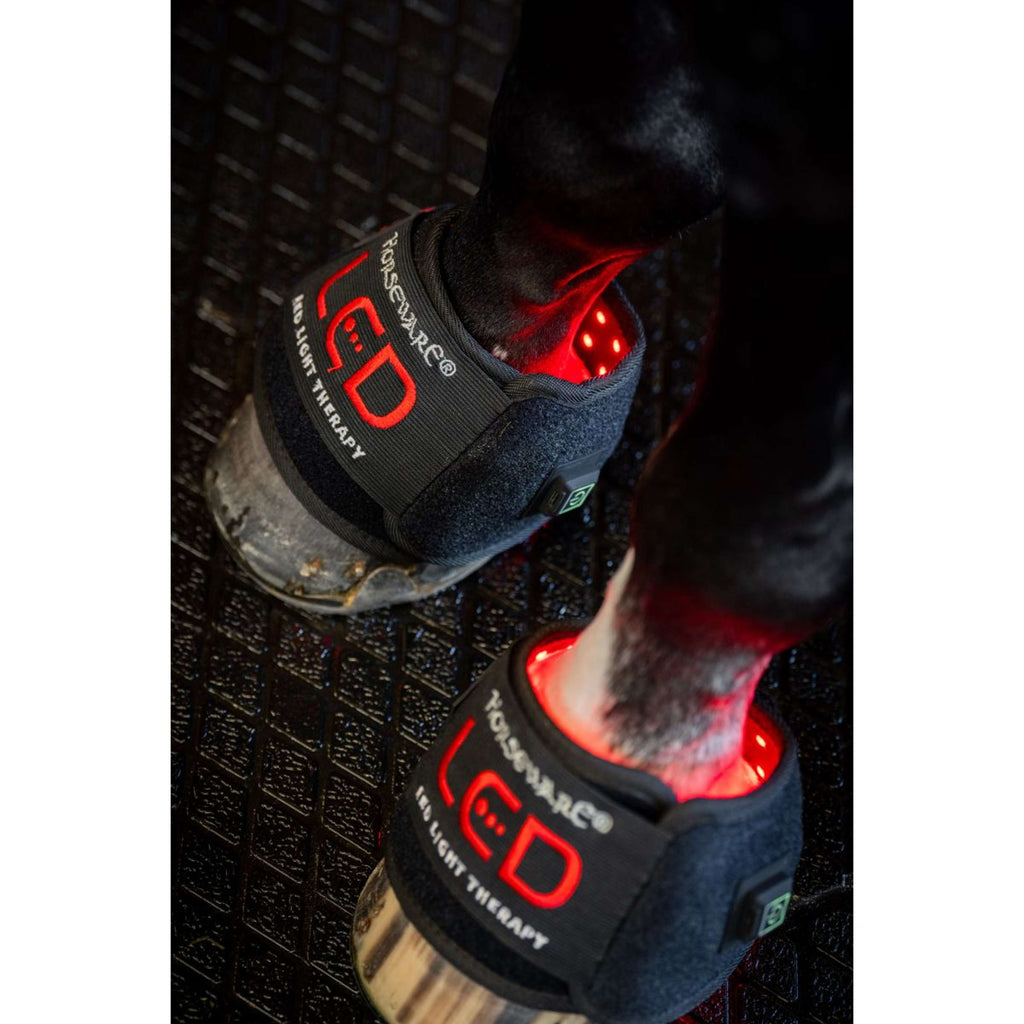 Horseware Mini Wraps LED Red Light Therapy Quad Schwarz/Schwarz