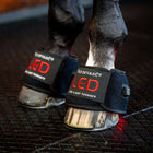 Horseware Mini Wraps LED Red Light Therapy Quad Schwarz/Schwarz