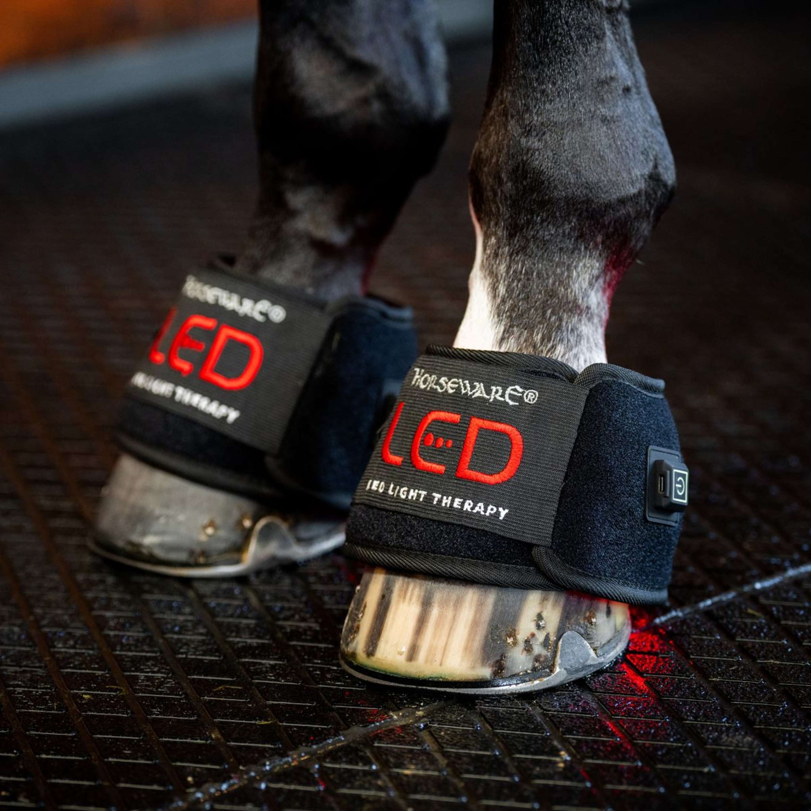 Horseware Mini Wraps LED Red Light Therapy Quad Schwarz/Schwarz