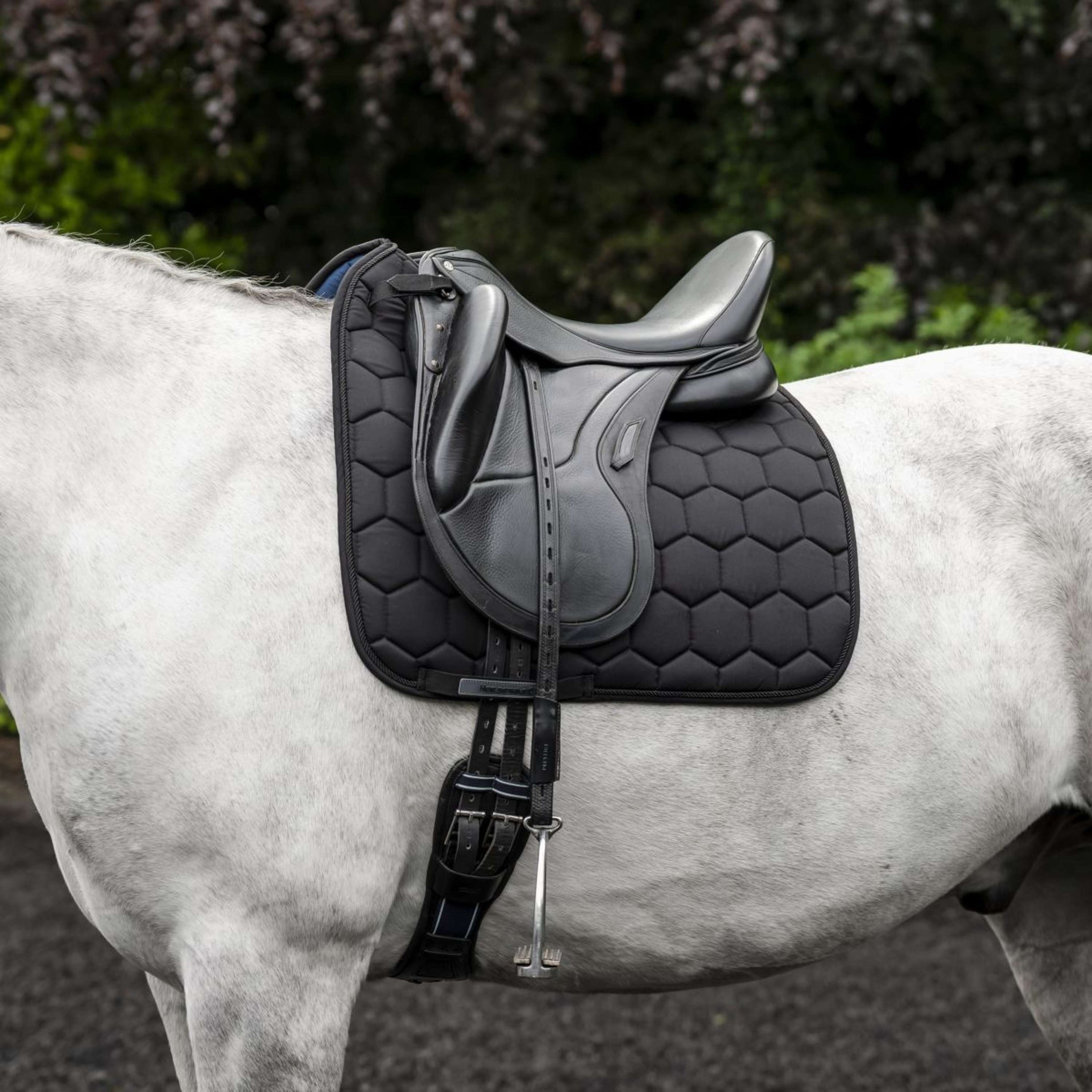 Horseware Schabracke Ionic Dressur Schwarz Horseware Schabracke Ionic Dressur Schwarz