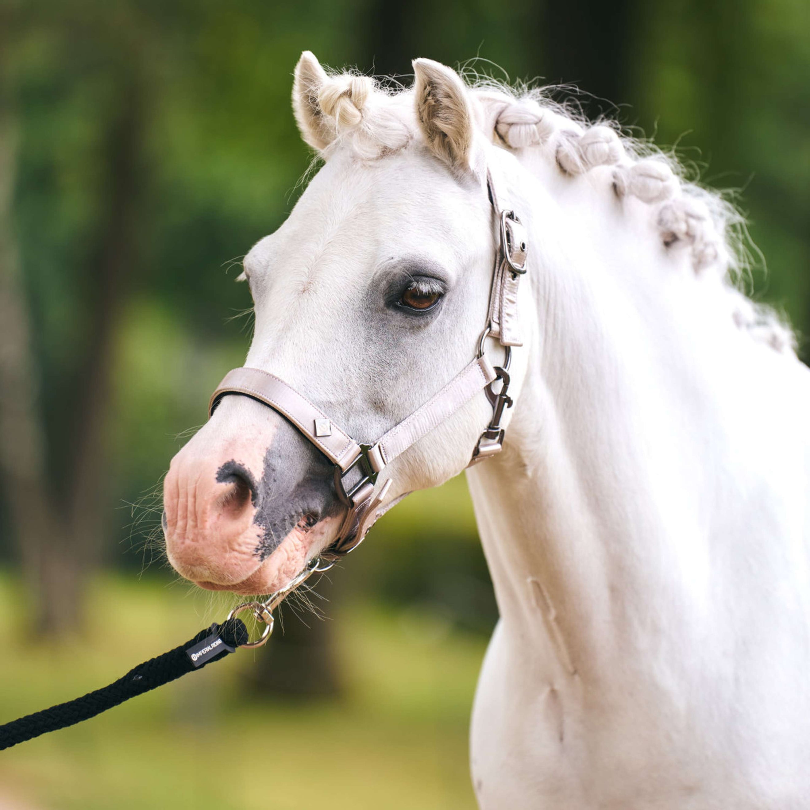 Imperial Riding Halfter IRHRebel Grau Imperial Riding Halfter IRHRebel Grau