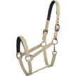 Leichte Olive