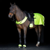 Imperial Riding Hufglocken IRHReflective Gelb
