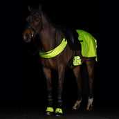 Imperial Riding Hufglocken IRHReflective Gelb