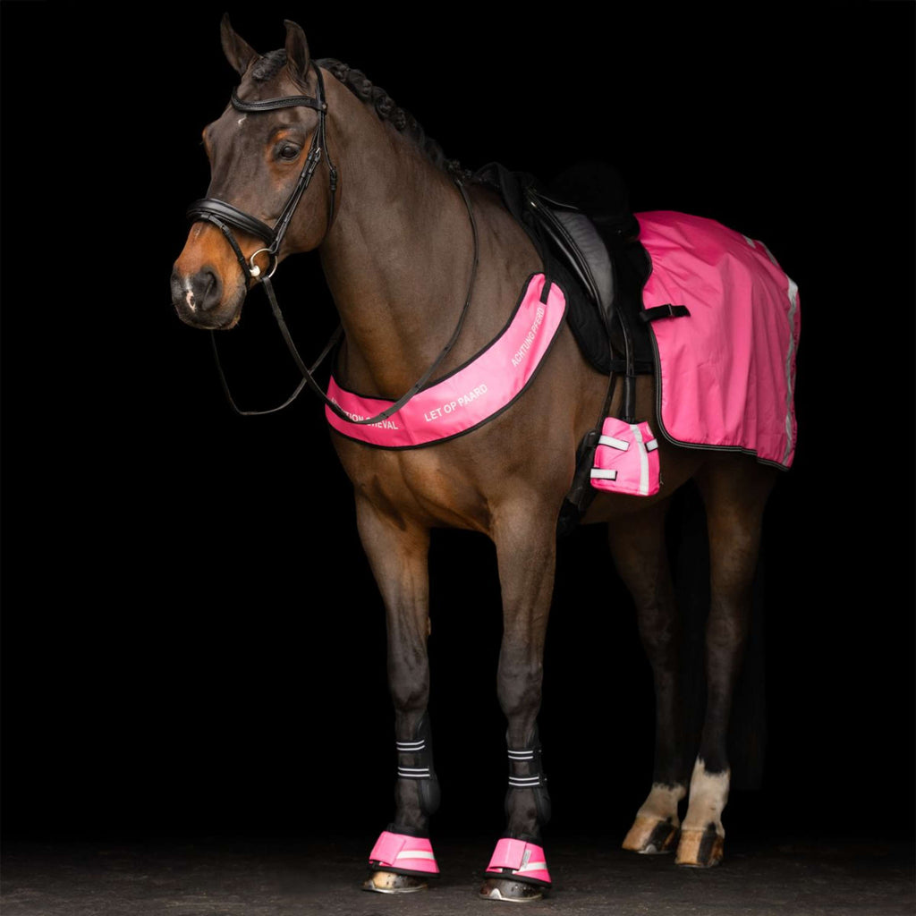 Imperial Riding Hufglocken IRHReflective Pink