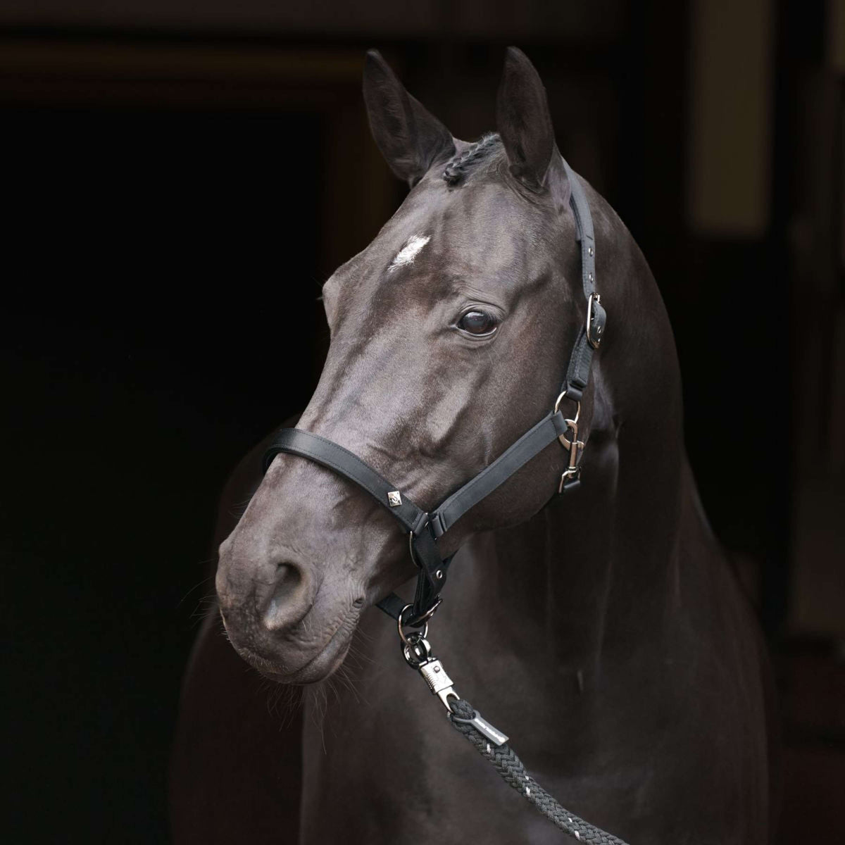 Imperial Riding Halfter IRHRebel Schwarz