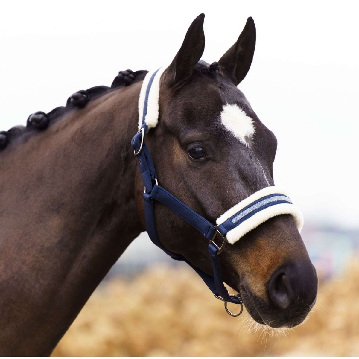 Imperial Riding Halfter IRHJewel Grau/Sand