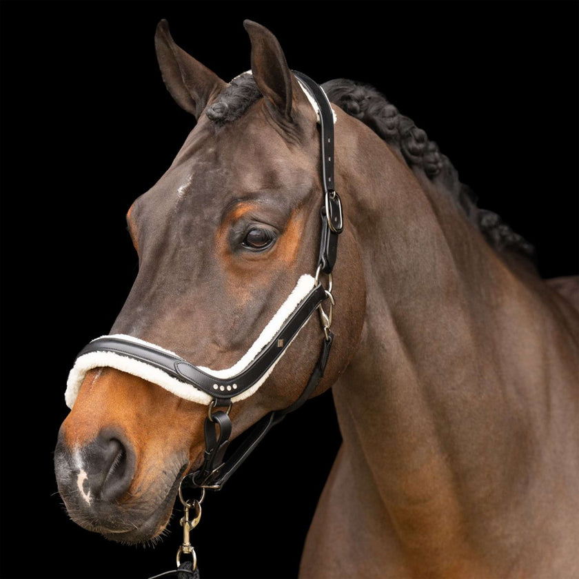Imperial Riding Halfter IRHLuxury Schwarz Imperial Riding Halfter IRHLuxury Schwarz