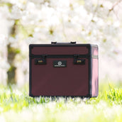 Imperial Riding Putzbox IRHShiny Fig