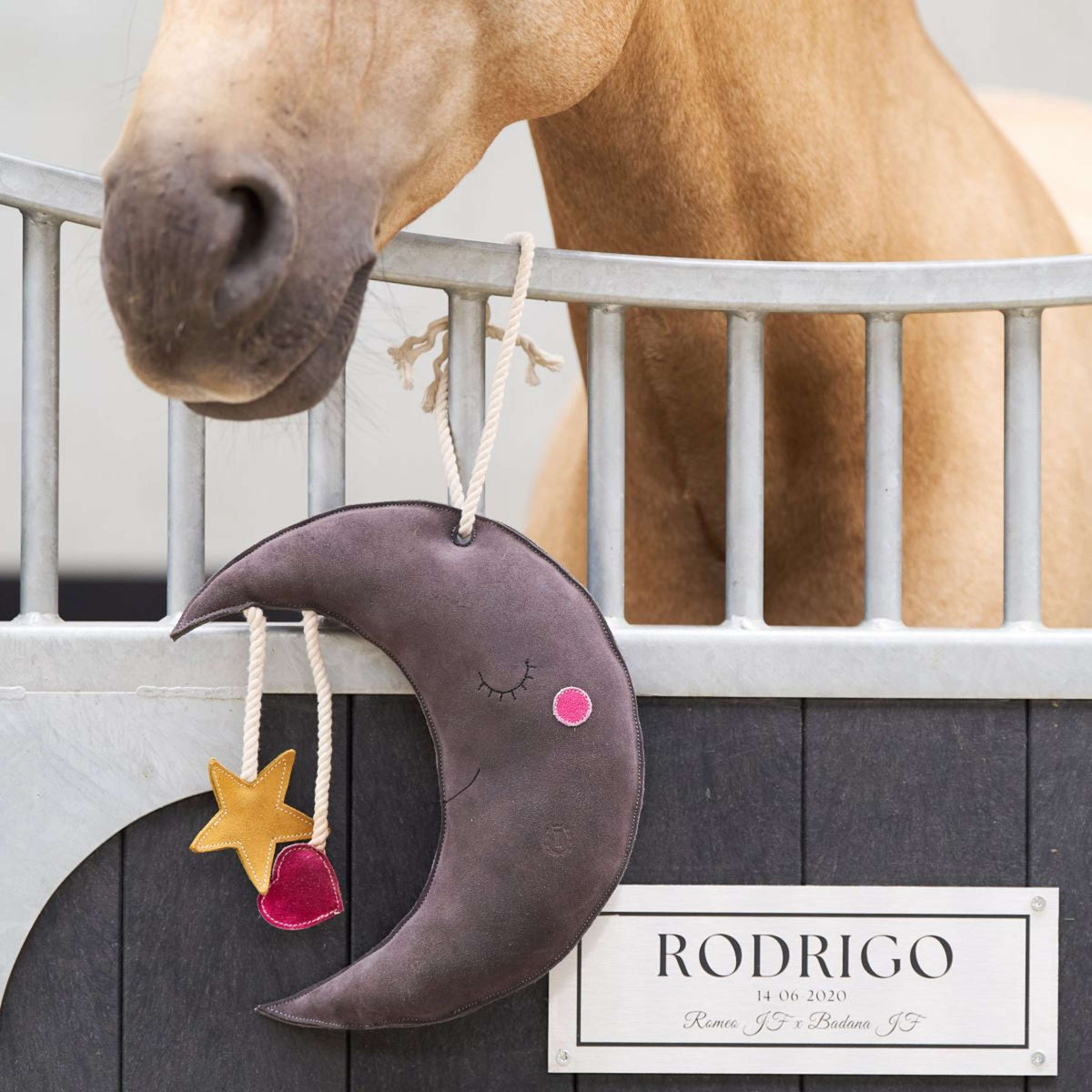 Imperial Riding Spielzeug IRHStable Moony