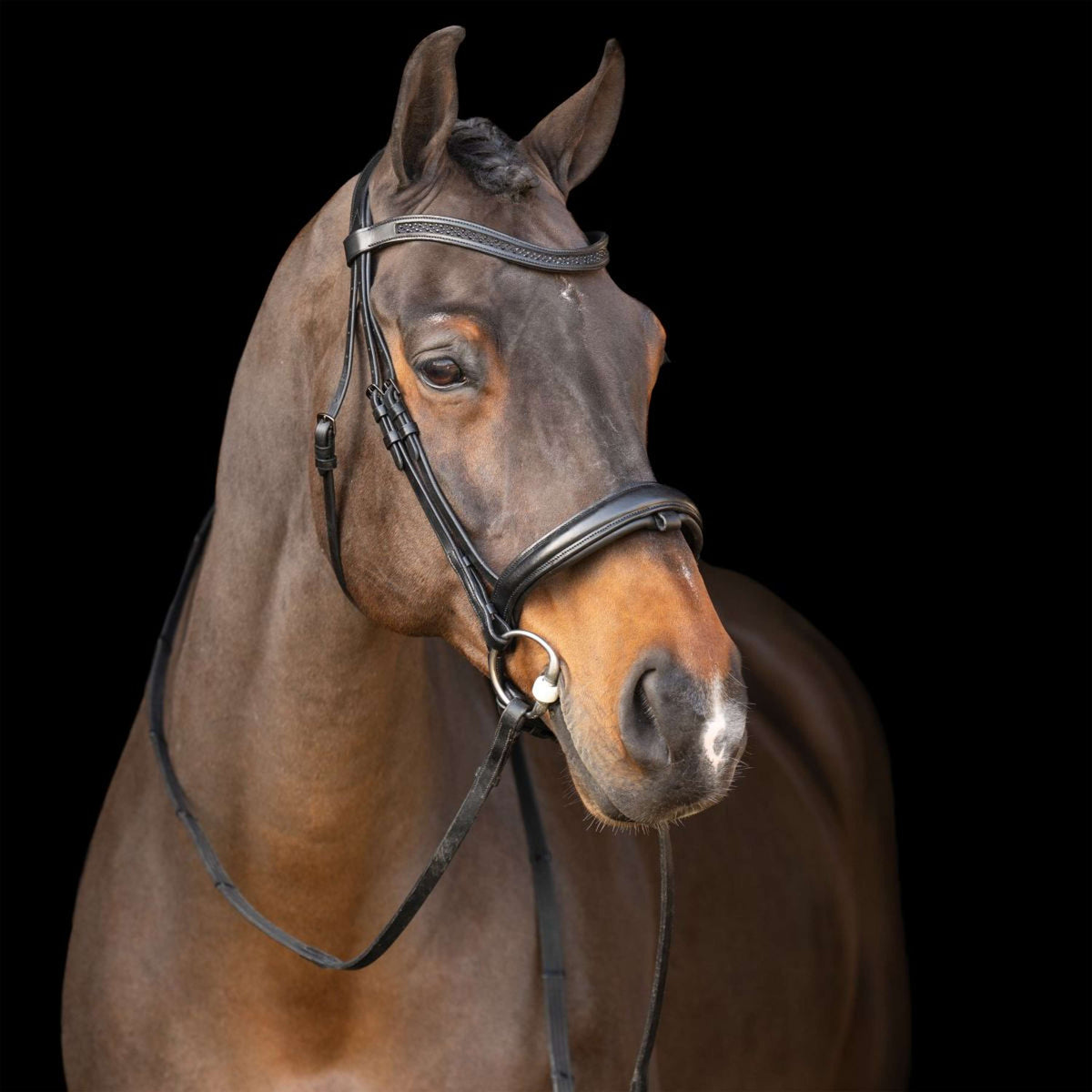 Imperial Riding Zaum IRH Schwarz/Schwarz