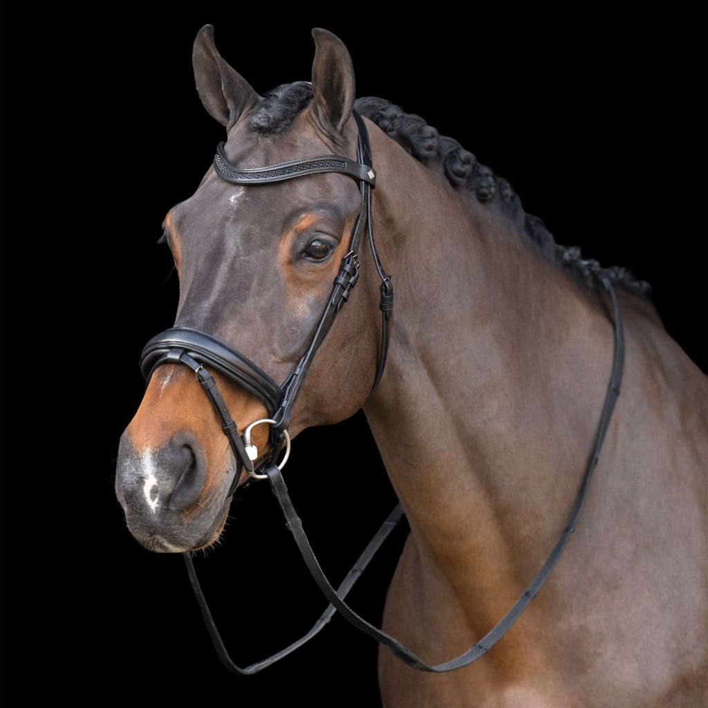 Imperial Riding Zaum IRH Schwarz/Schwarz