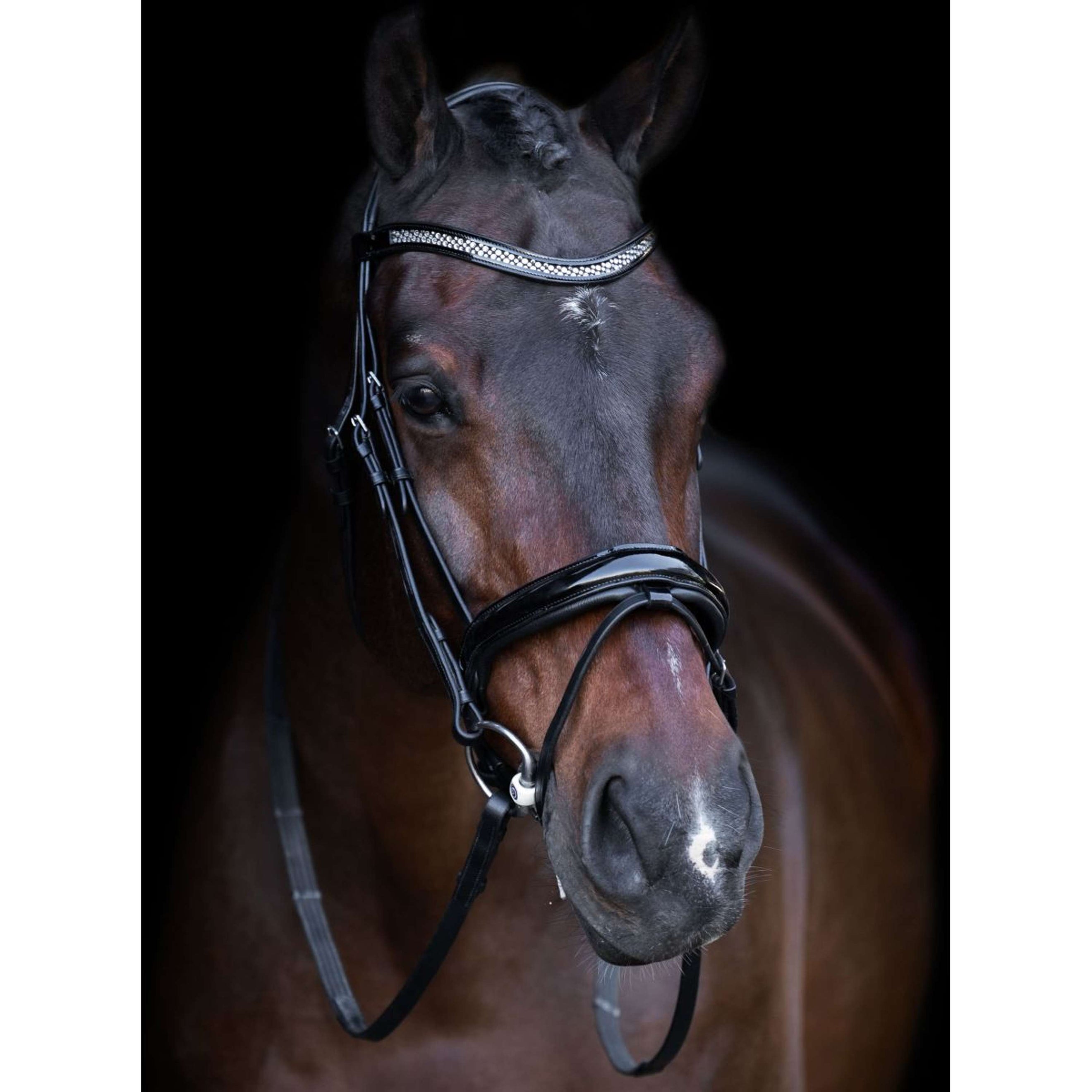 Imperial Riding Zaum IRH Schwarz/Crystal