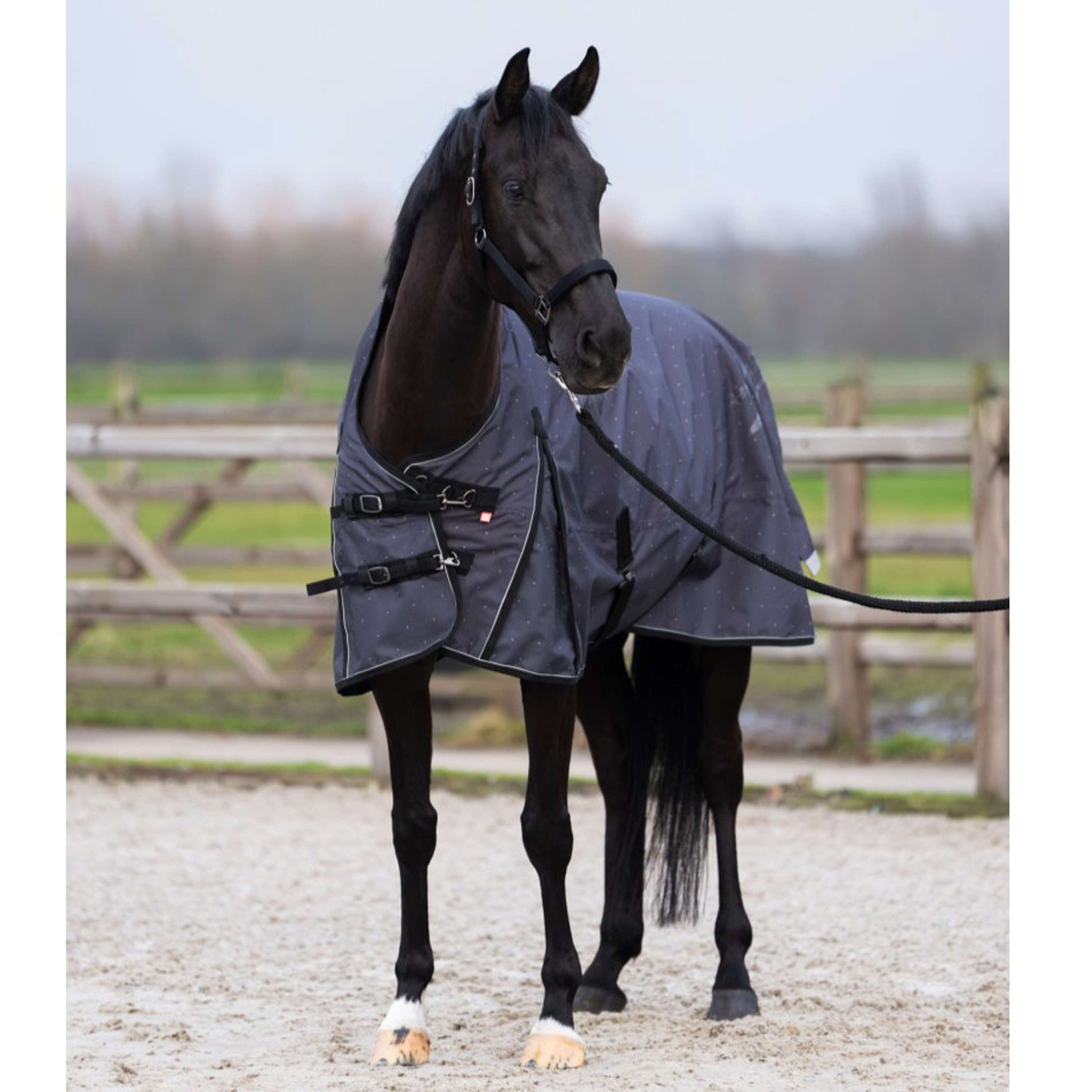 Imperial Riding Outdoordecke IRHSuper-dry AOP 0g Grau